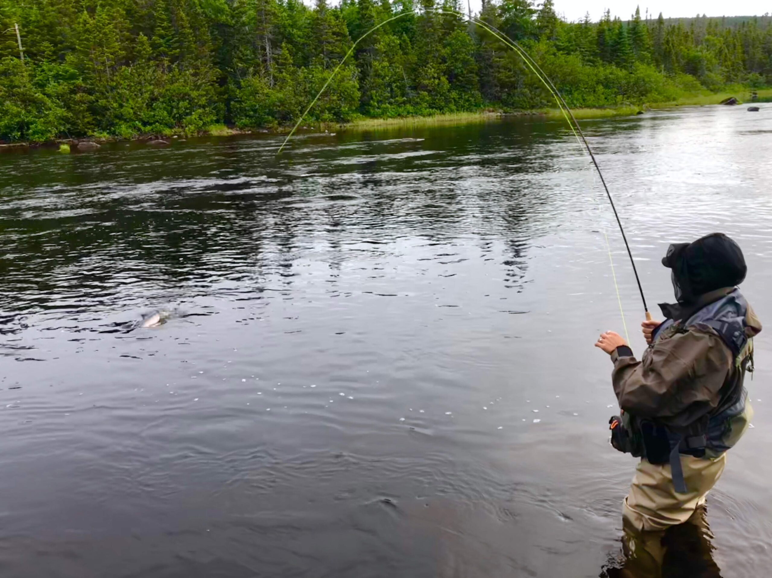 Trophy Moose Package — Hynes Hunting & Fishing Lodge – Hynes Hunting & Fishing Lodge